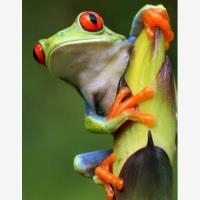 https://s3.us-east-1.amazonaws.com/nocnok-img/230911082029-18c351c63b624b55a2e01f7502b034afl.jpg